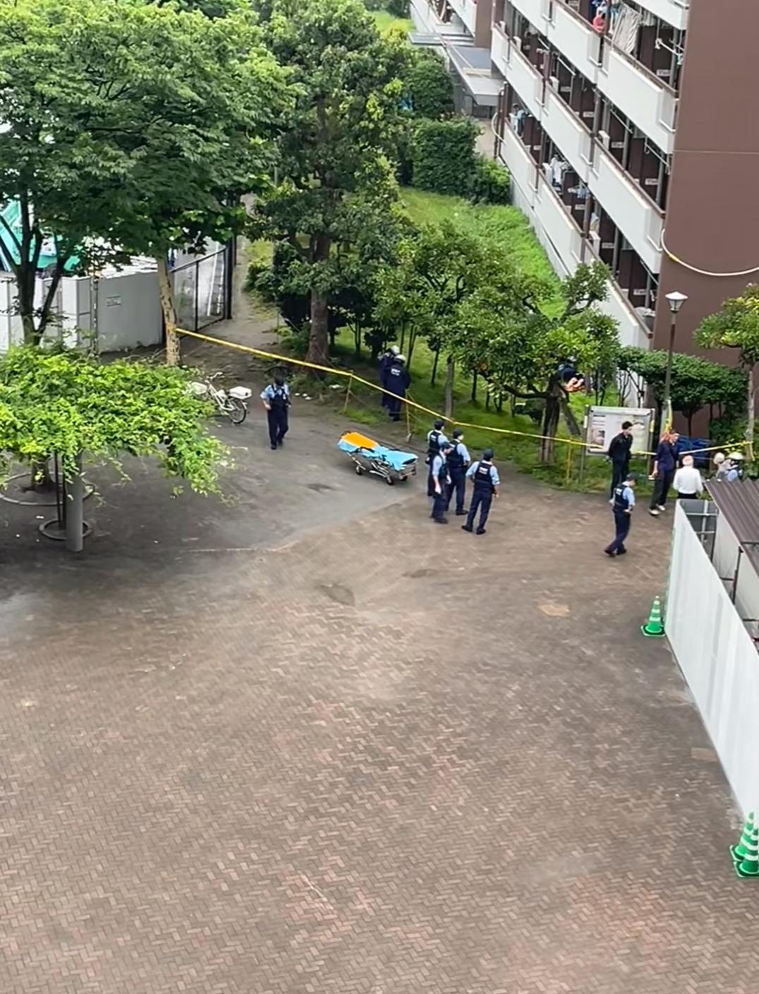 早上刷到跳楼去世的那个学医的女孩
真的很痛心
从幼儿园到研究生
上了20多年的学