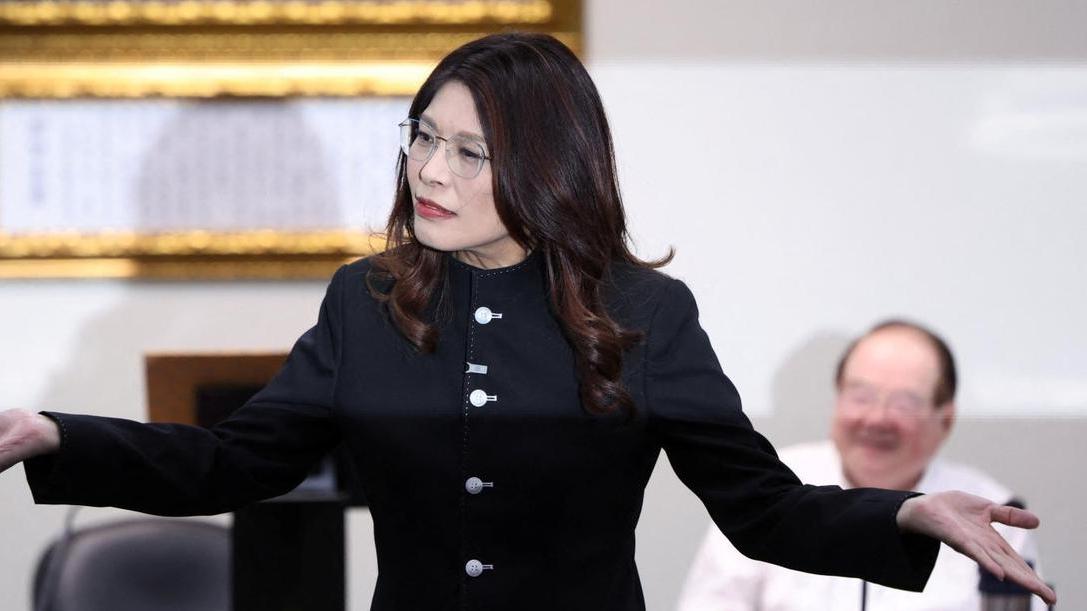 民进党慌了！郑丽文带回惠台礼包，北京雷霆组合拳精准落锤！

郑丽文坚持九二共识访