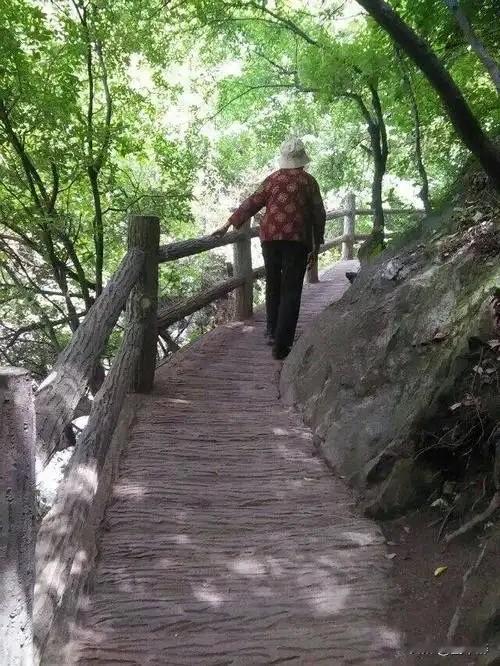 退休后
给你三个选择，你会选哪一条？
一是，每月给子女5000元，不用带孙子；