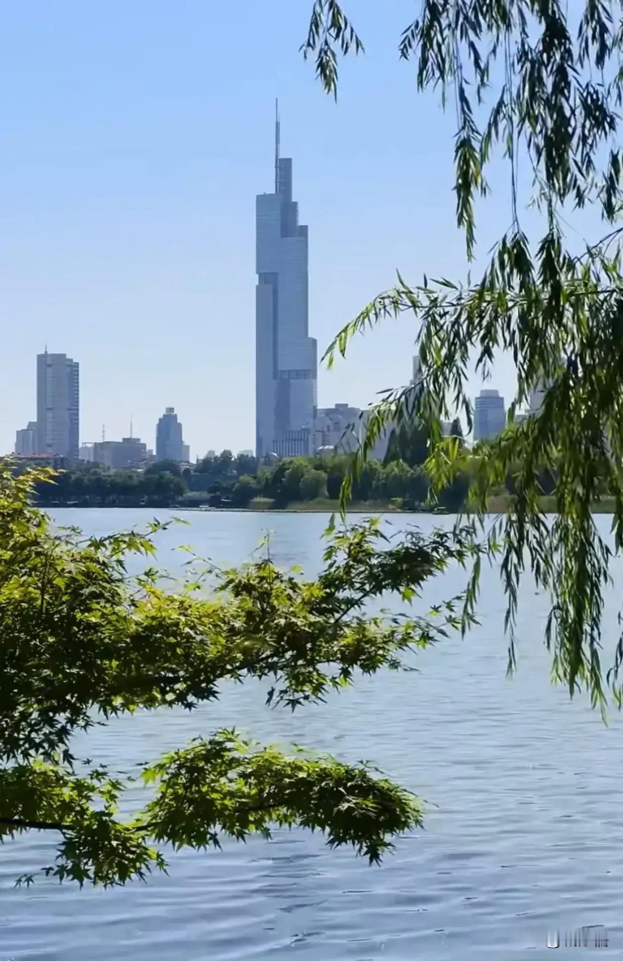 不要拿北京颐和园和苏州拙政园进行比较，更不要以为这两个园林就是两个城市的代表和象