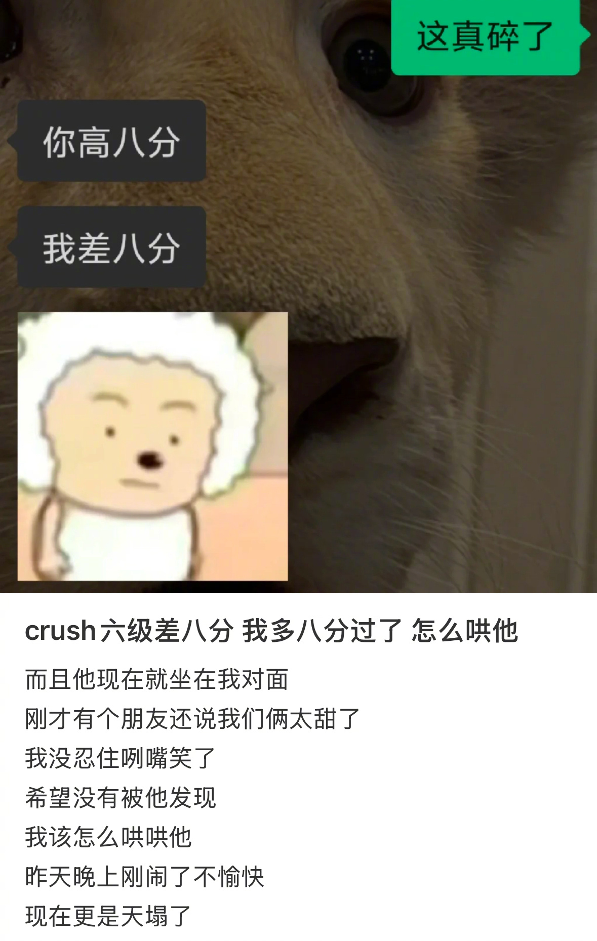 crush六级差八分 我多八分过了 怎么哄他 