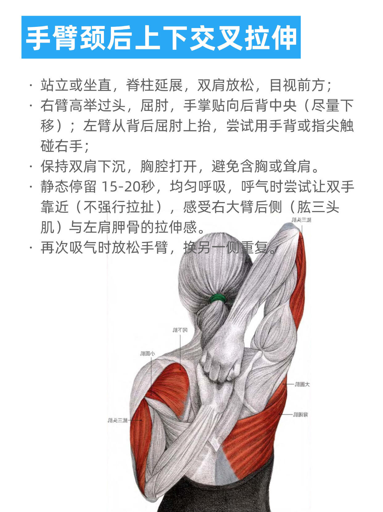 🔥就是这个拉伸！永远可以相信人民日报👍 ​​​