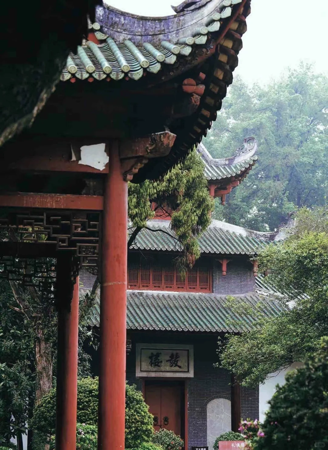 📍 南华寺⛩ 一方净土，三柱清香
