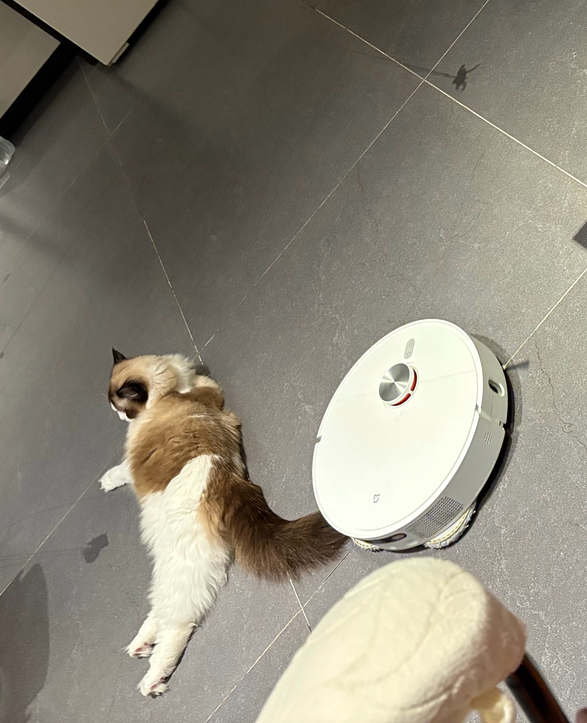 碍事吧啦的。 