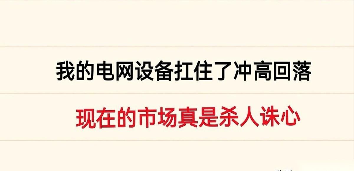 有人持仓了15天的电网设备板块上午迎来大涨，而就在9月底他刚进场时，评论区里大多