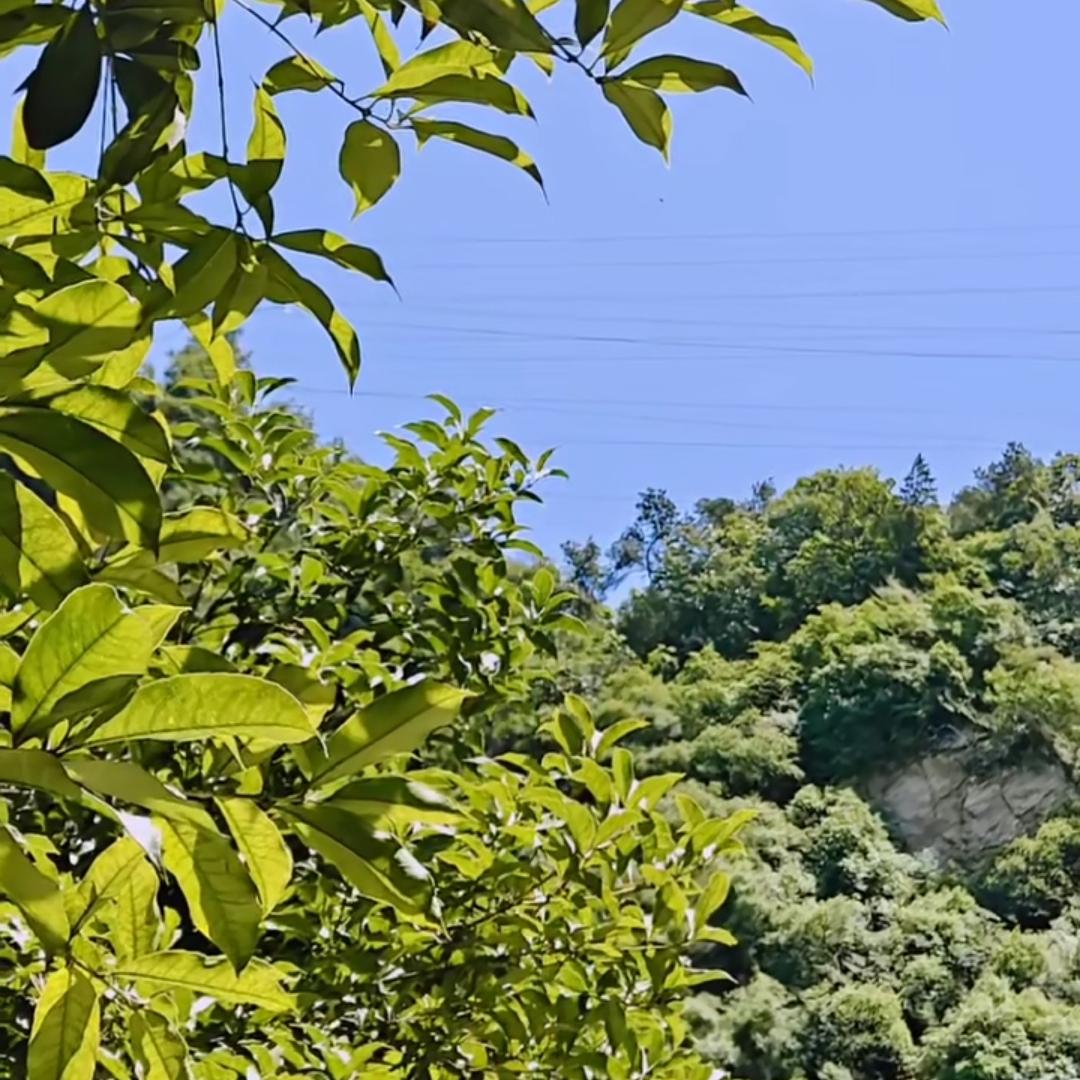 六一儿童节快乐，今天是2026年6月1日，感谢我的手机，又陪伴了我一年[赞][赞