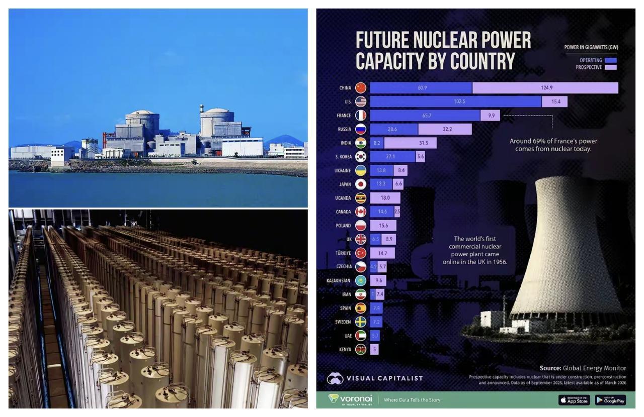 ✨中国会购买伊朗的浓缩铀吗？✨

🐼 既然美国和伊朗就浓缩铀的问题已经达成妥协