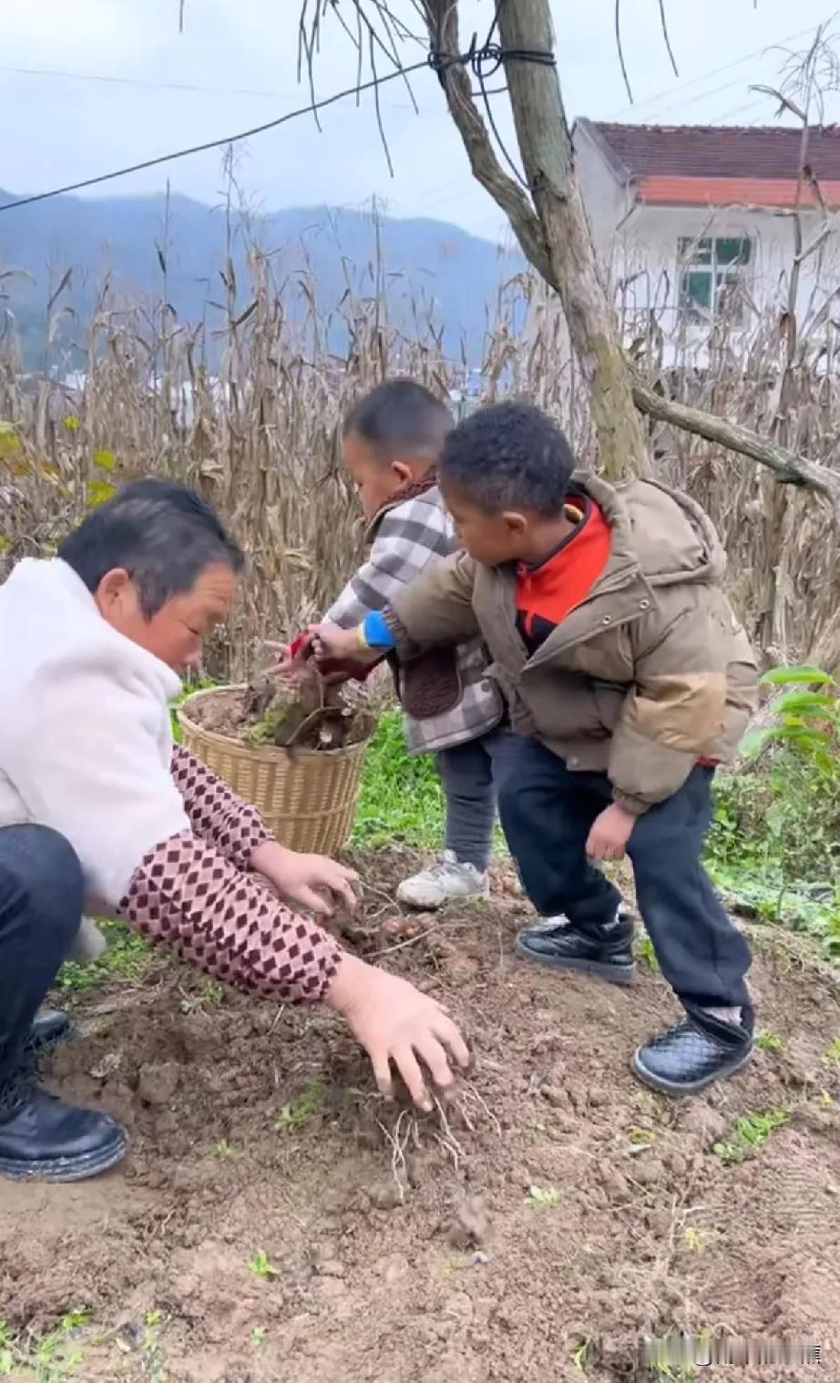 菲利斯回坦桑尼亚娘家人，琪琪奶奶将以前菲利斯视频中经常出现的刘婷，豆豆爷爷等凝聚