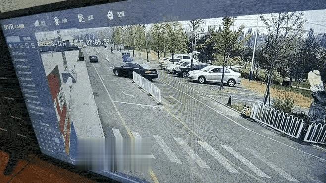 树：我是哪里得罪您了，您直说