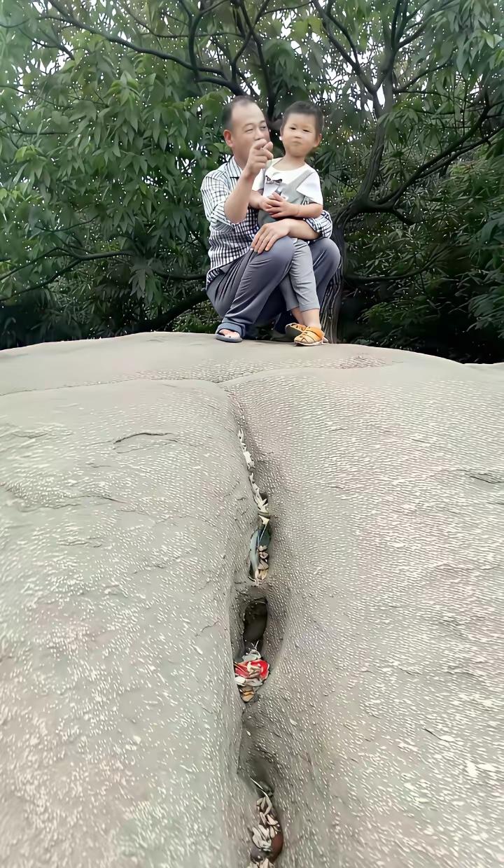 听说这块石头，
如果要是放到印度，
能够打磨成玛瑙……