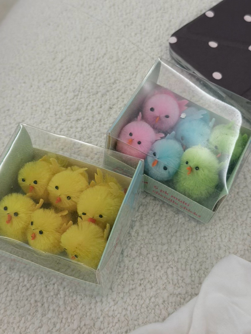 小鸡🐤回家！ 