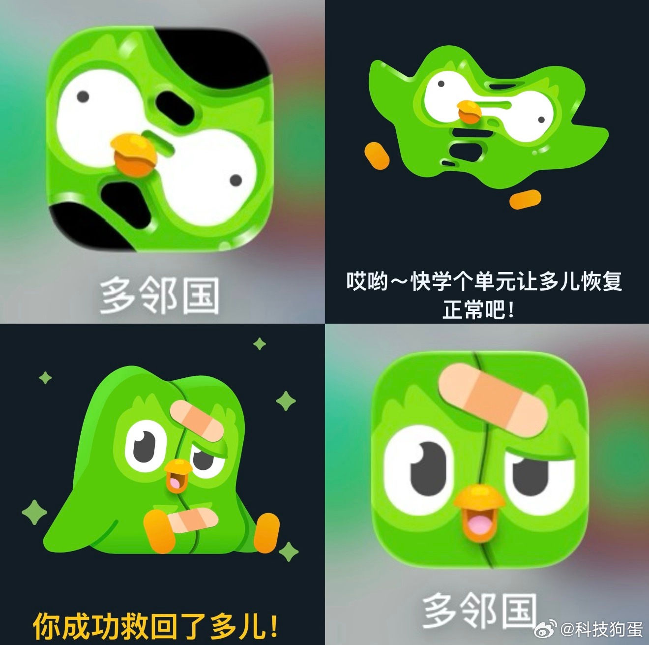 多邻国绿鸟 离职这多邻国的臭鸟天天蹭，我已经连续不打卡好几天惩罚它了，这破鸟的表