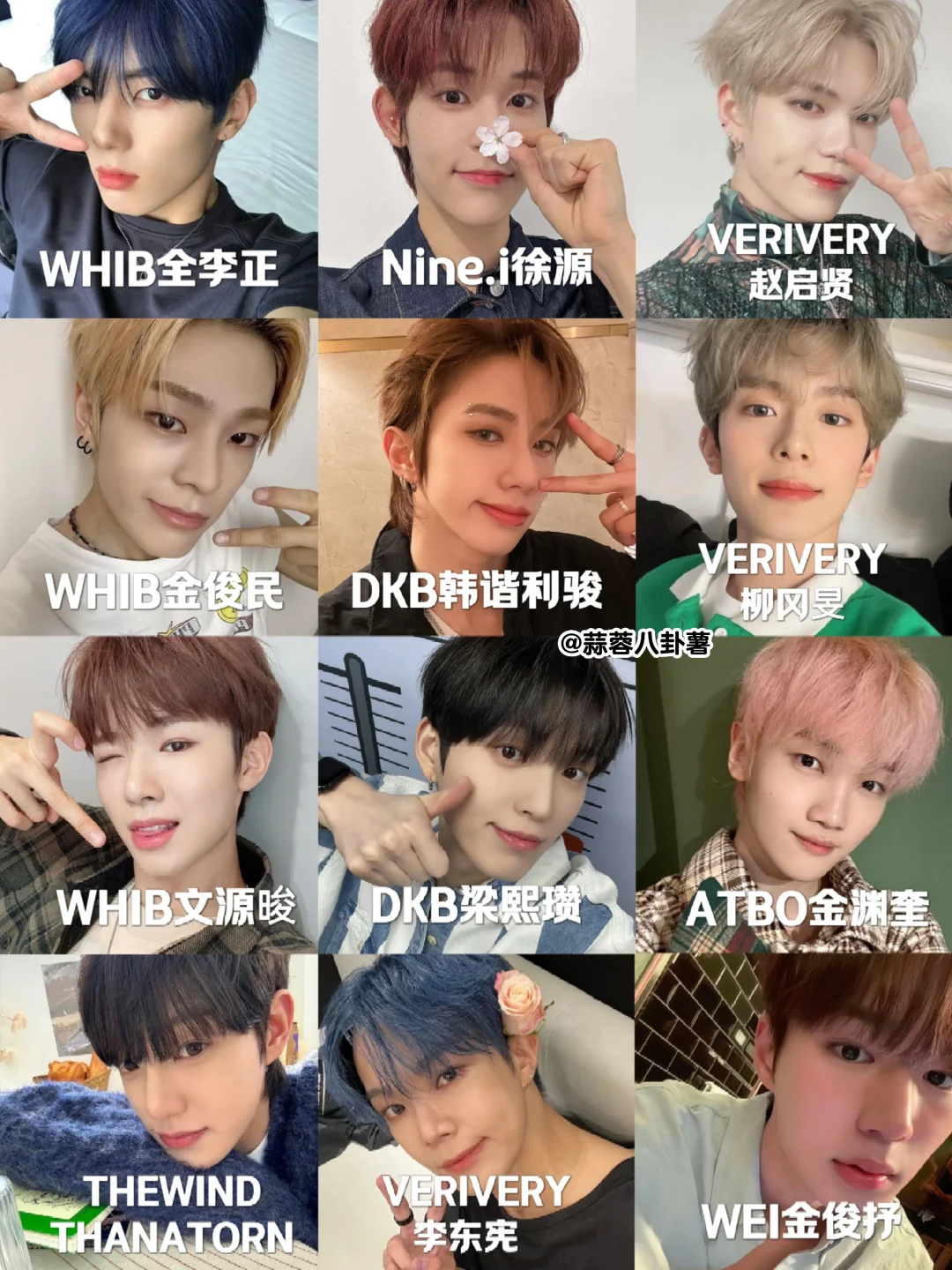 好家伙🆘男宝星球2回锅名单合集‼️