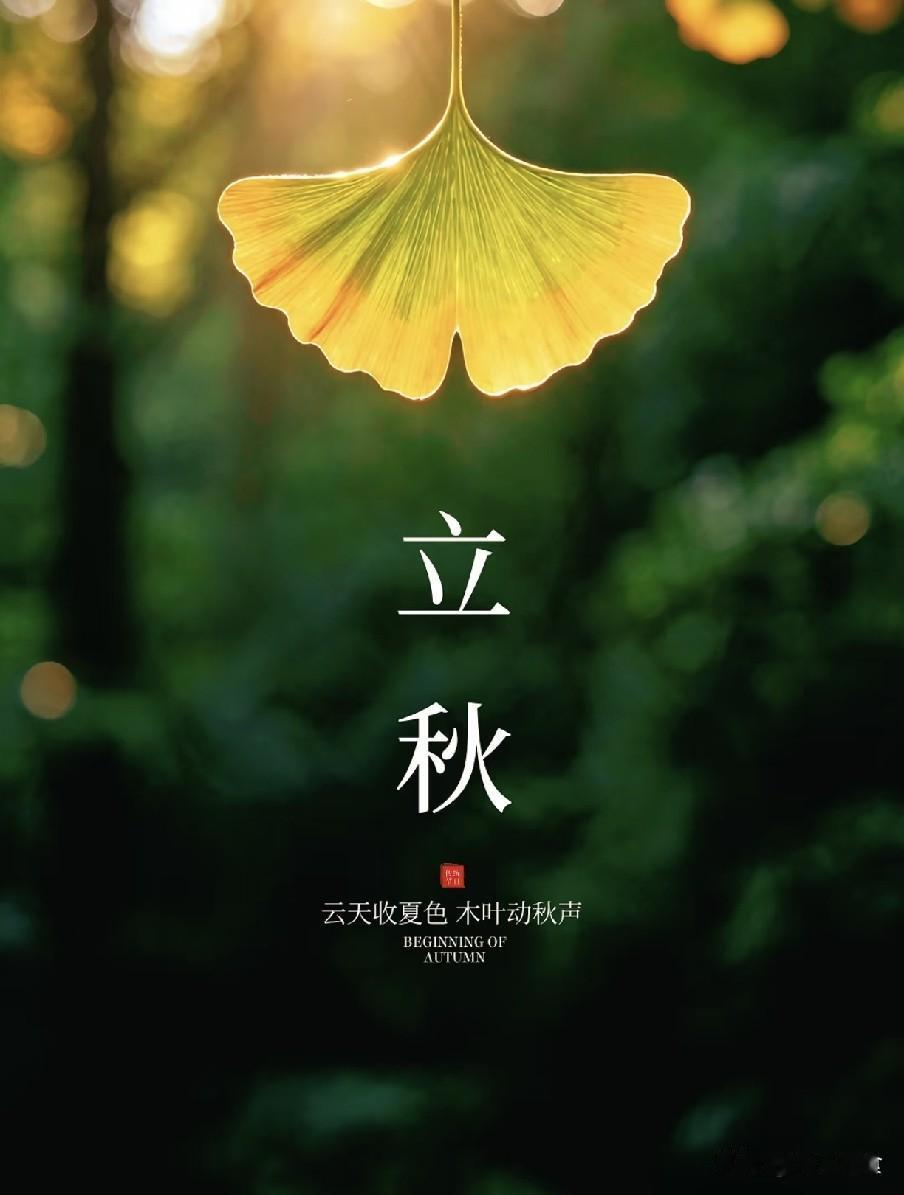 网传立秋谓之“凶日”，读懂“1要烤，2要少，3要冻”的换季生活启示
 
8月7日
