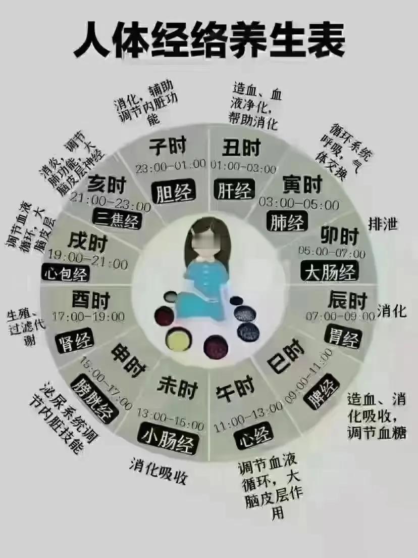 人体经络养生图片上年轻人养生经 年轻人的养生经 健康养生经 6分养生 养生一辈到