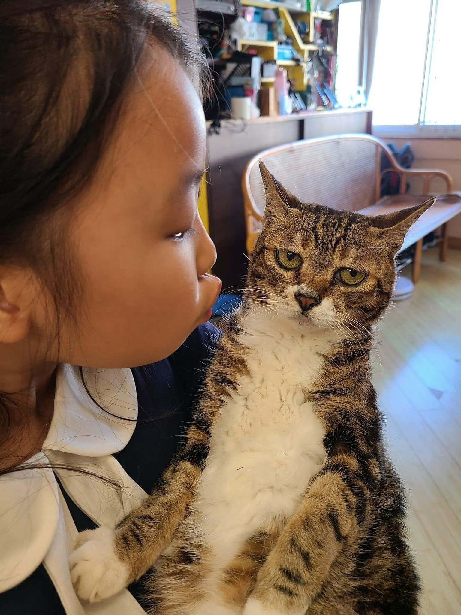 不好意思拒绝亲亲的猫咪！！ ​​​