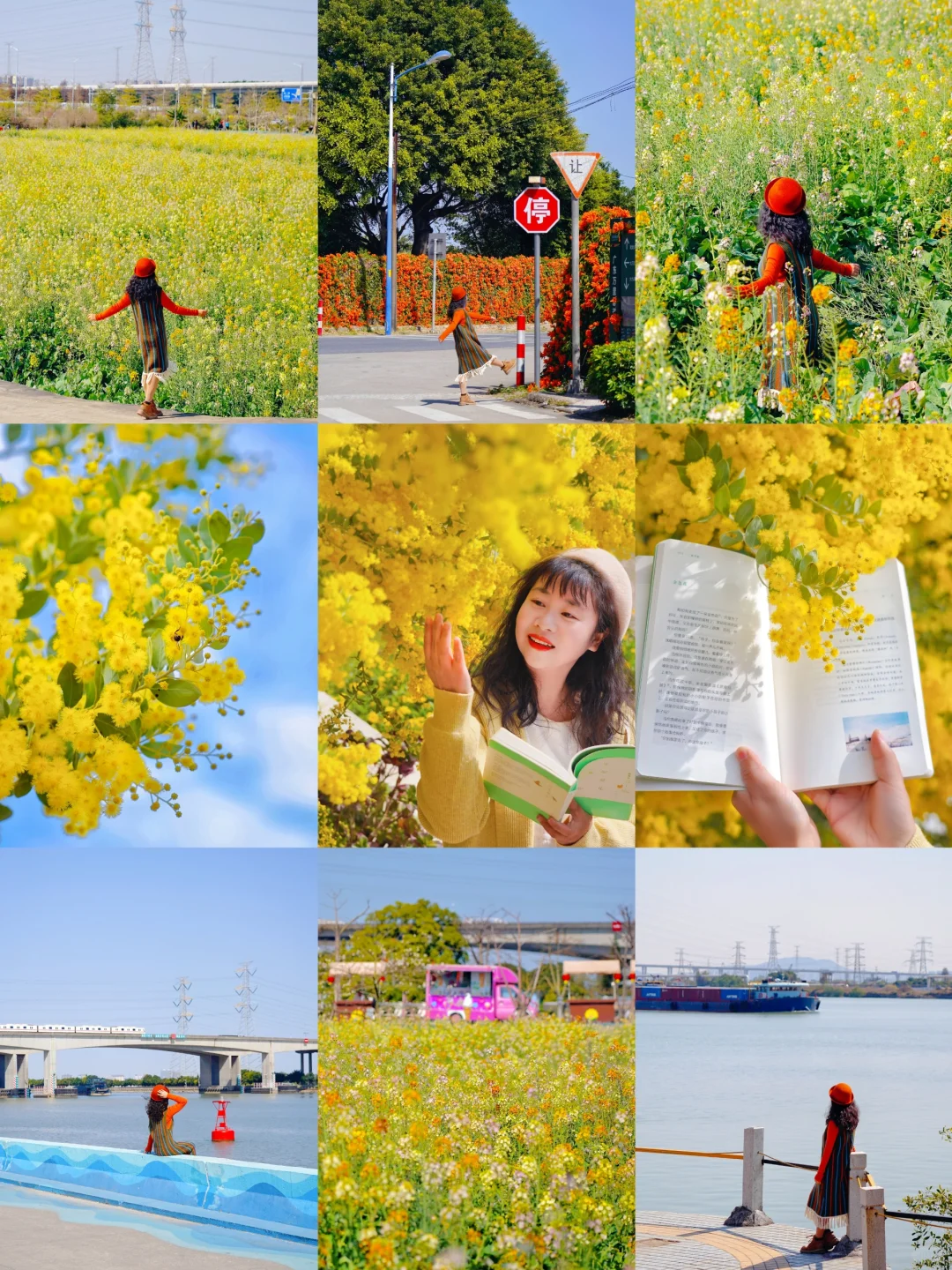 广州的春天上线🌼这条赏花路线可以封神了