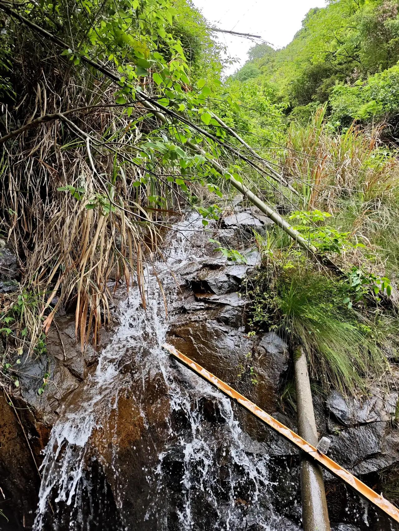 浙江省杭州市桐庐县的石舍村有着四百多年历史，石舍村位于桐庐富春江镇，名列第2批中