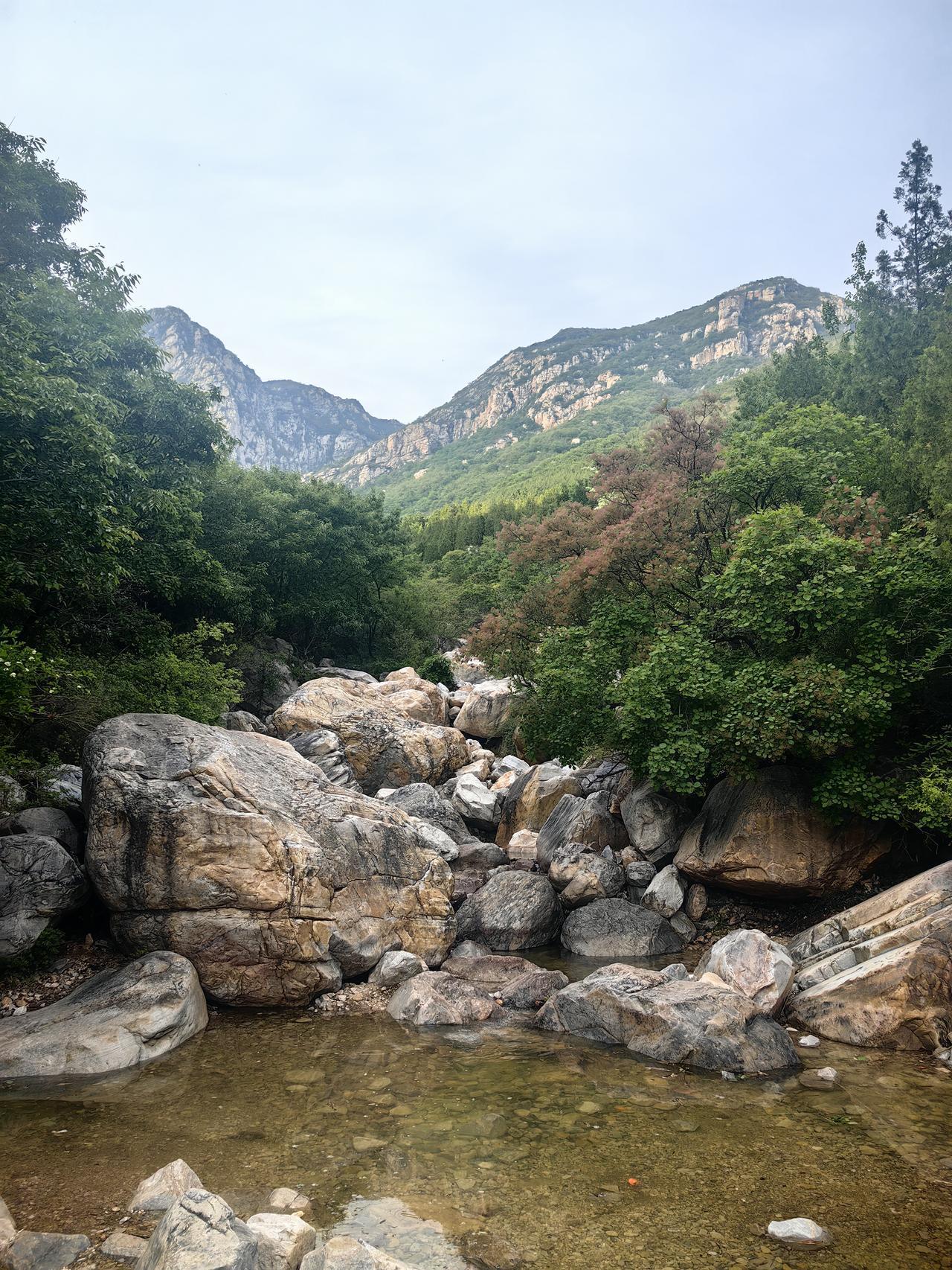少林寺背后的那座山，你叫得出名字吗？

它就是中岳嵩山。没错，五岳里混得最惨的那