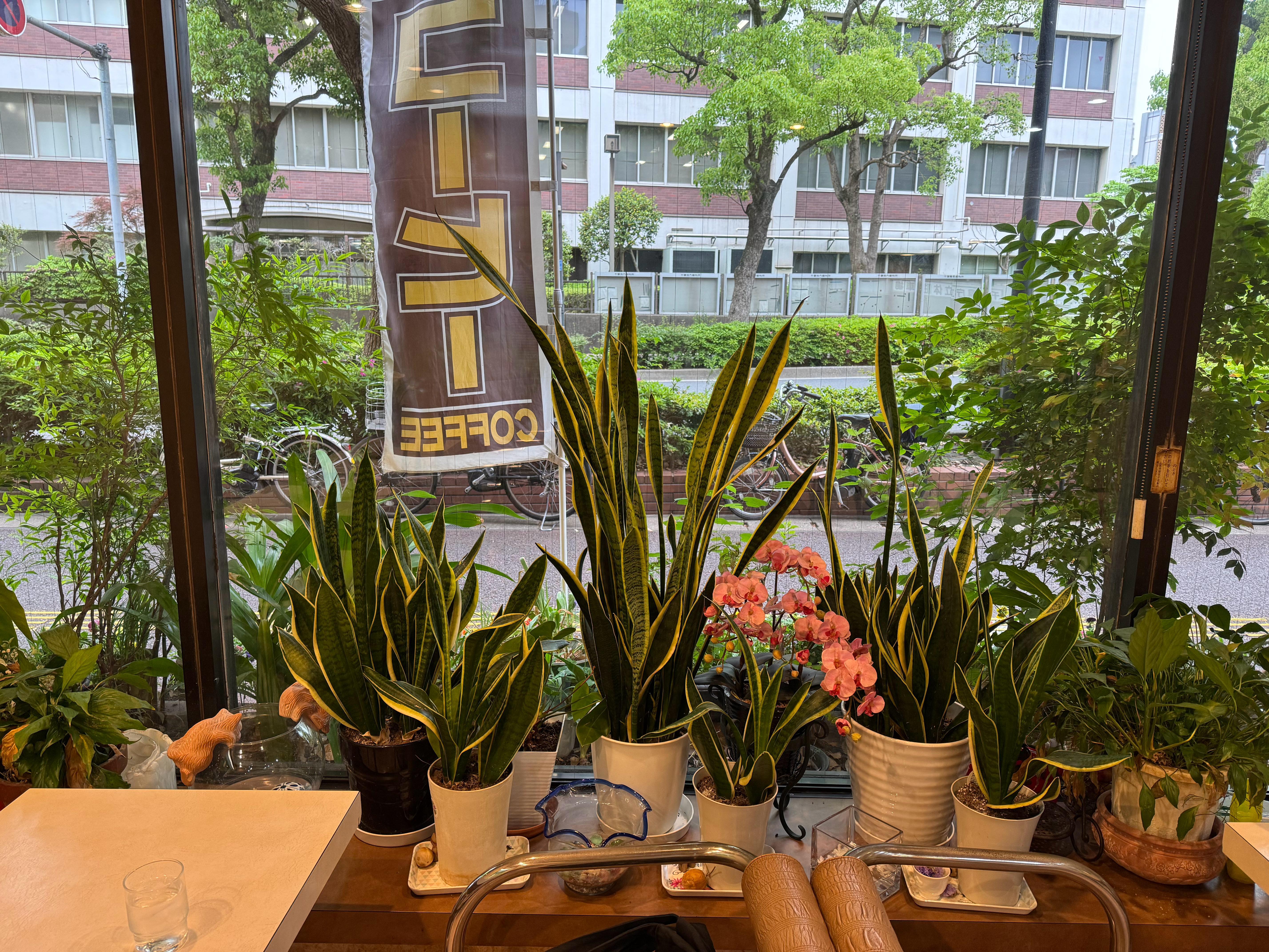 走进一家餐馆吃饭。没有客人  花装饰的很好 