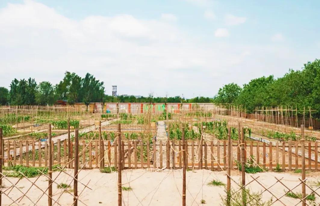 如何构建有机农场的盈利模式 ？

如今，锦会有机农场通过对外合作，打造了一系列独