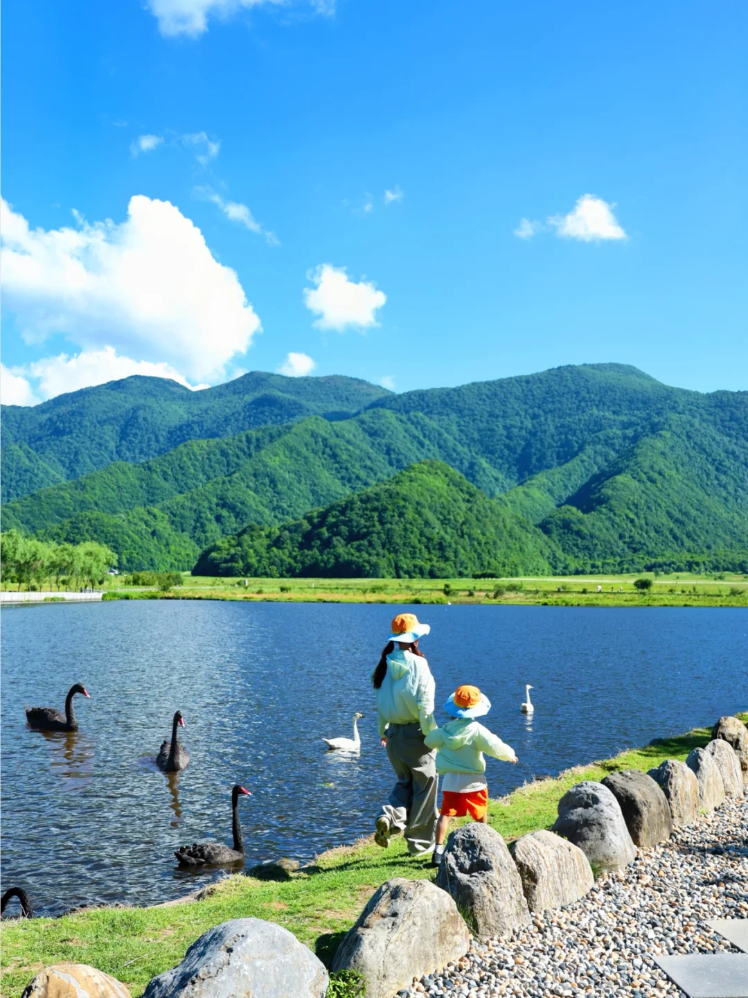 神农架刚回🥶不踩雷🚗亲子游3天2晚自驾攻略