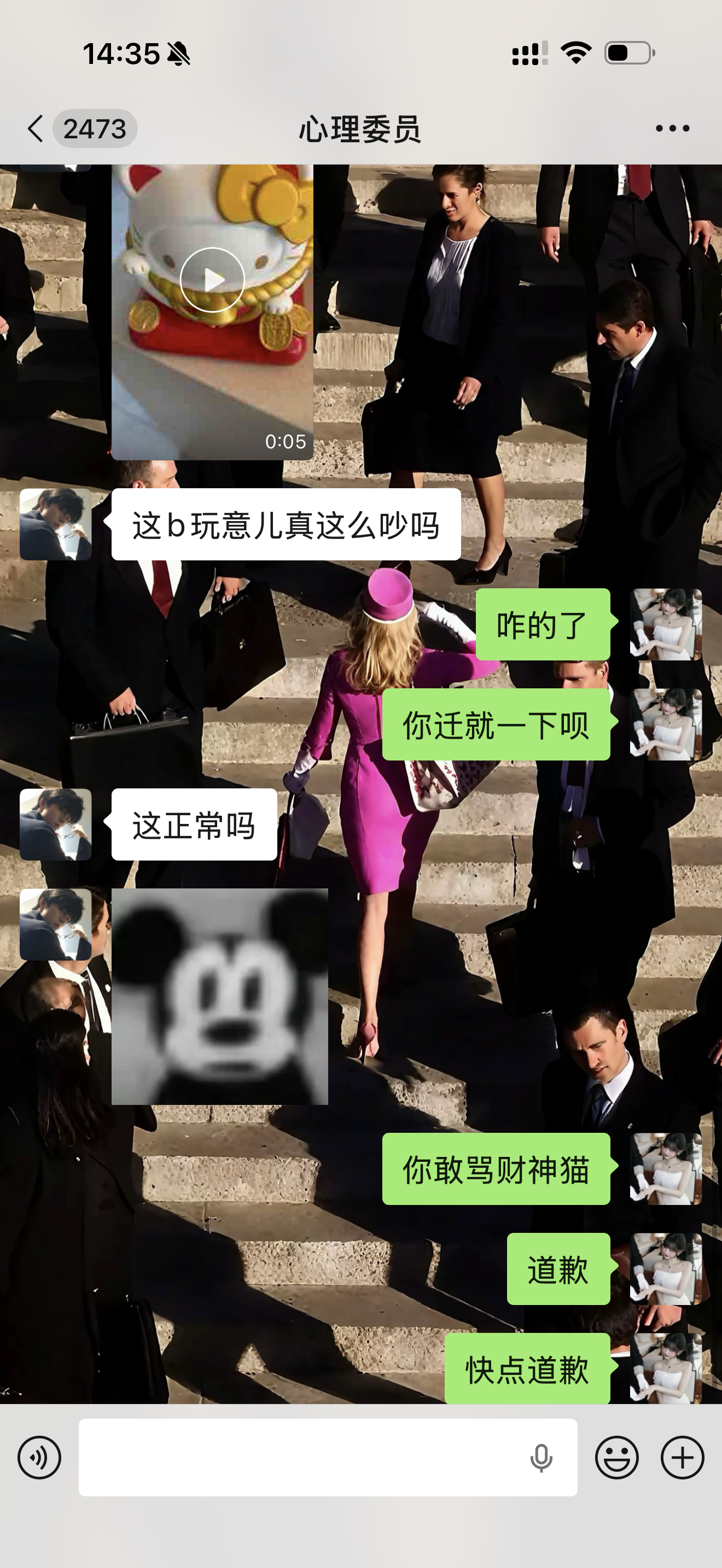 新搬了工作室，我们供的财神猫是kitty