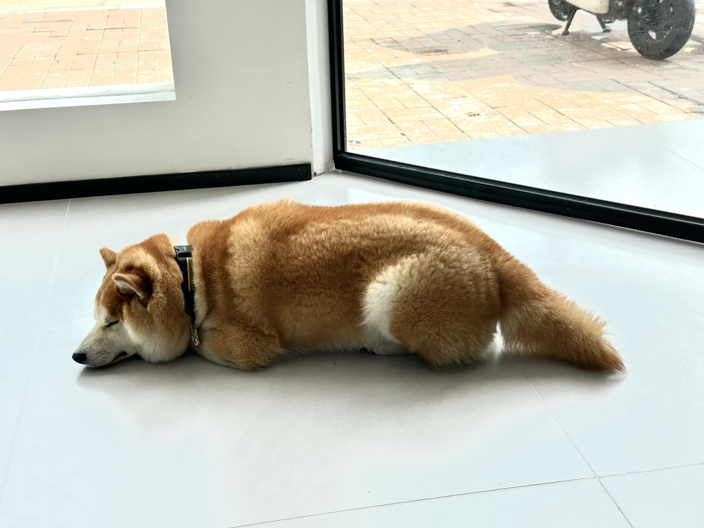 上班好无聊