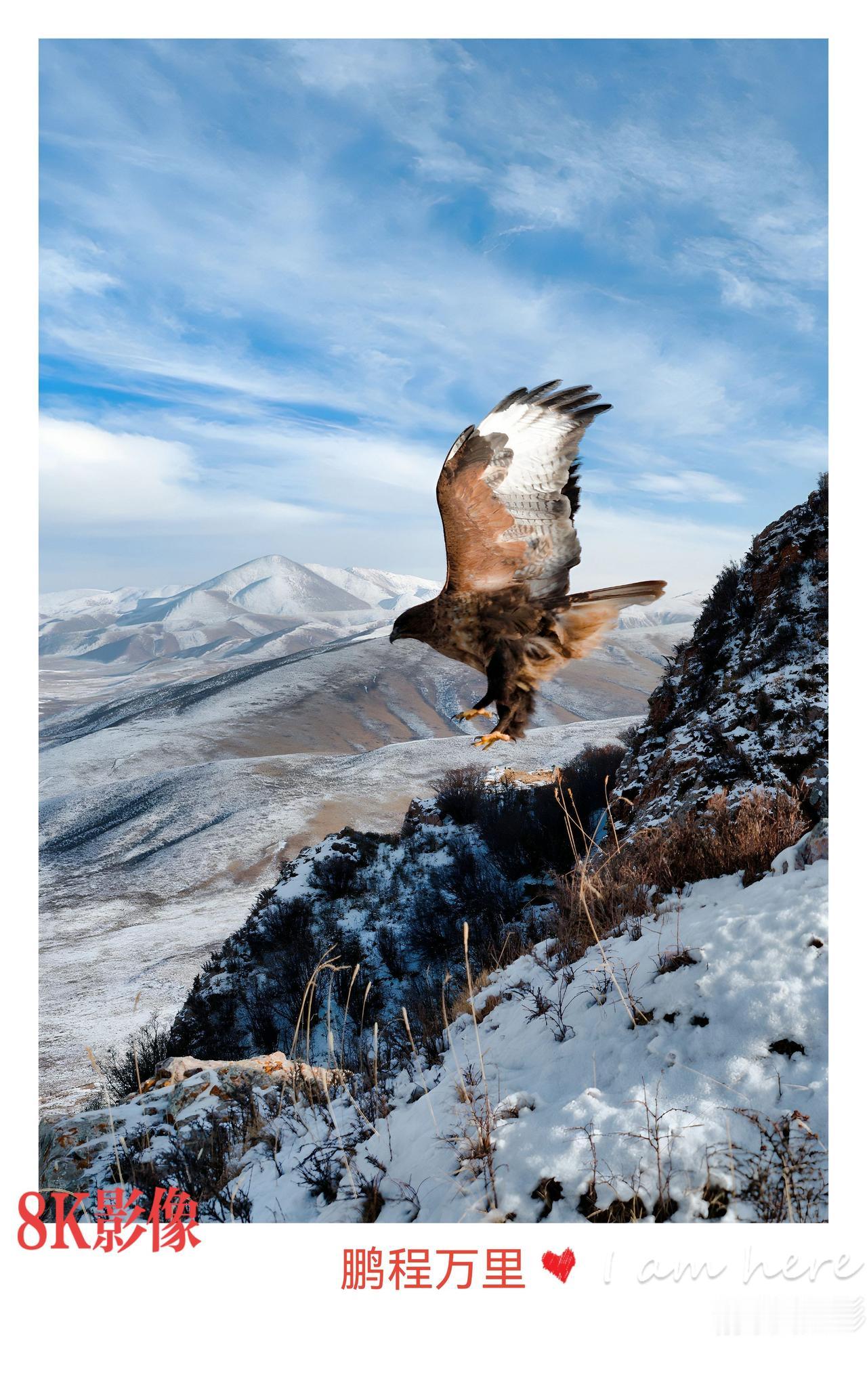 祁连山，你是大自然的杰作，
你的壮美与神奇，令人心驰神往。
愿你的生灵们，永远自