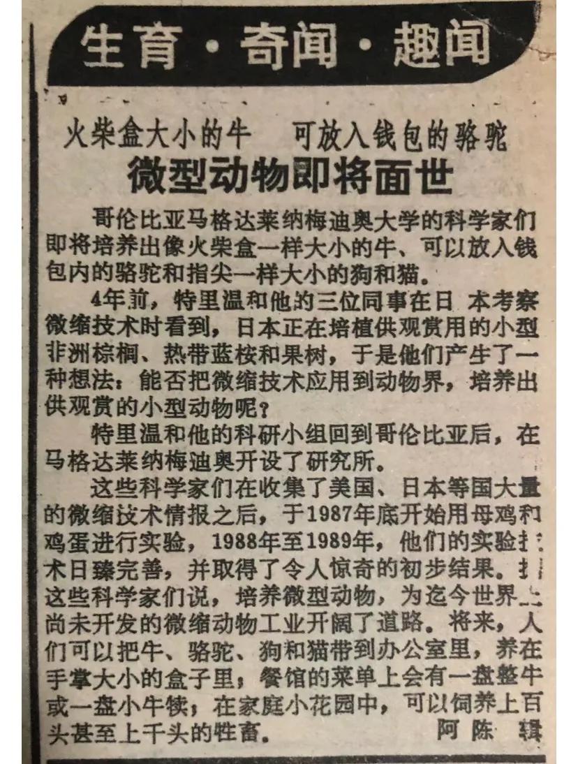 1990年11月25日剪报:微型动物即将面世