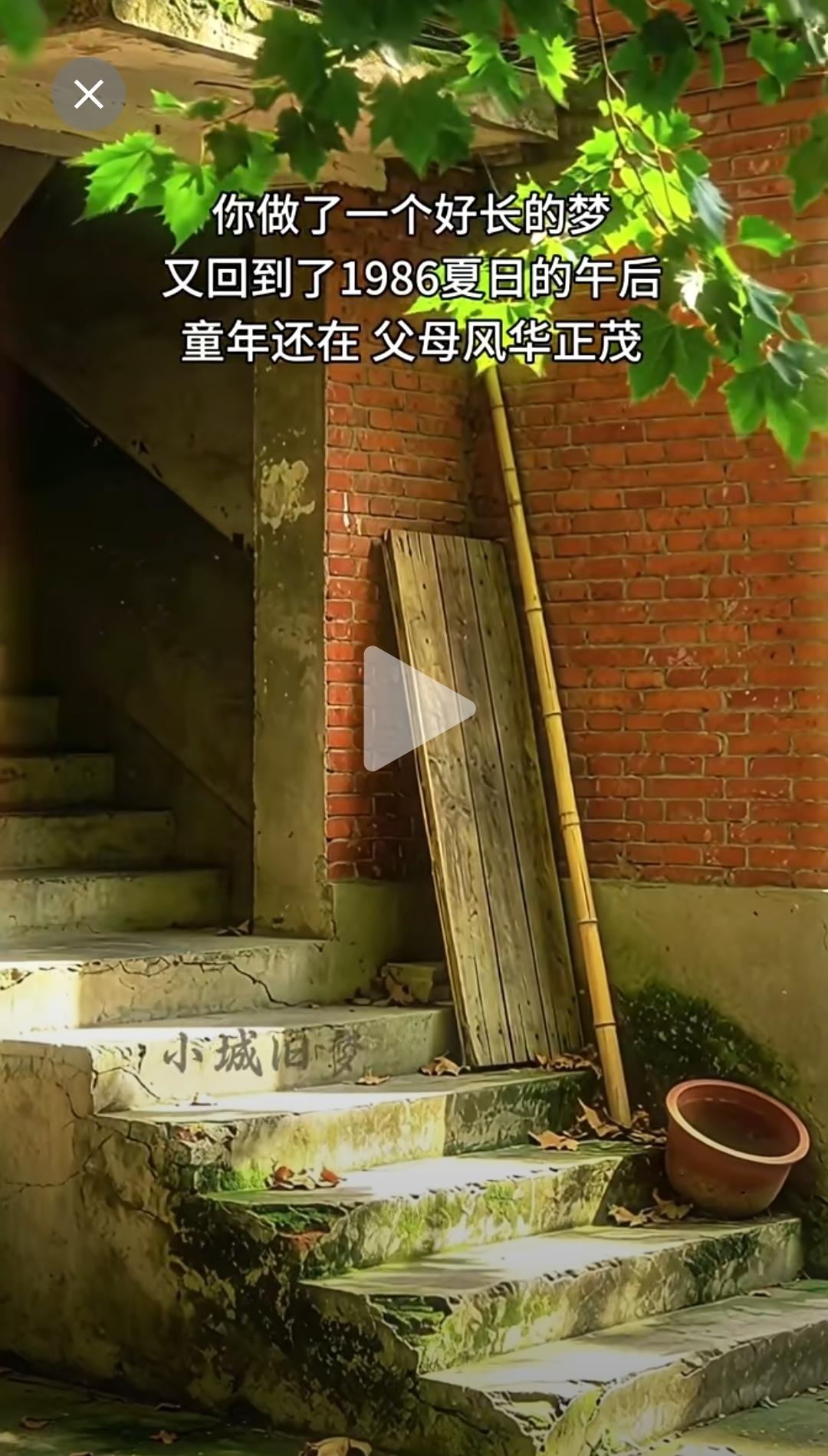1986年的你在干嘛？