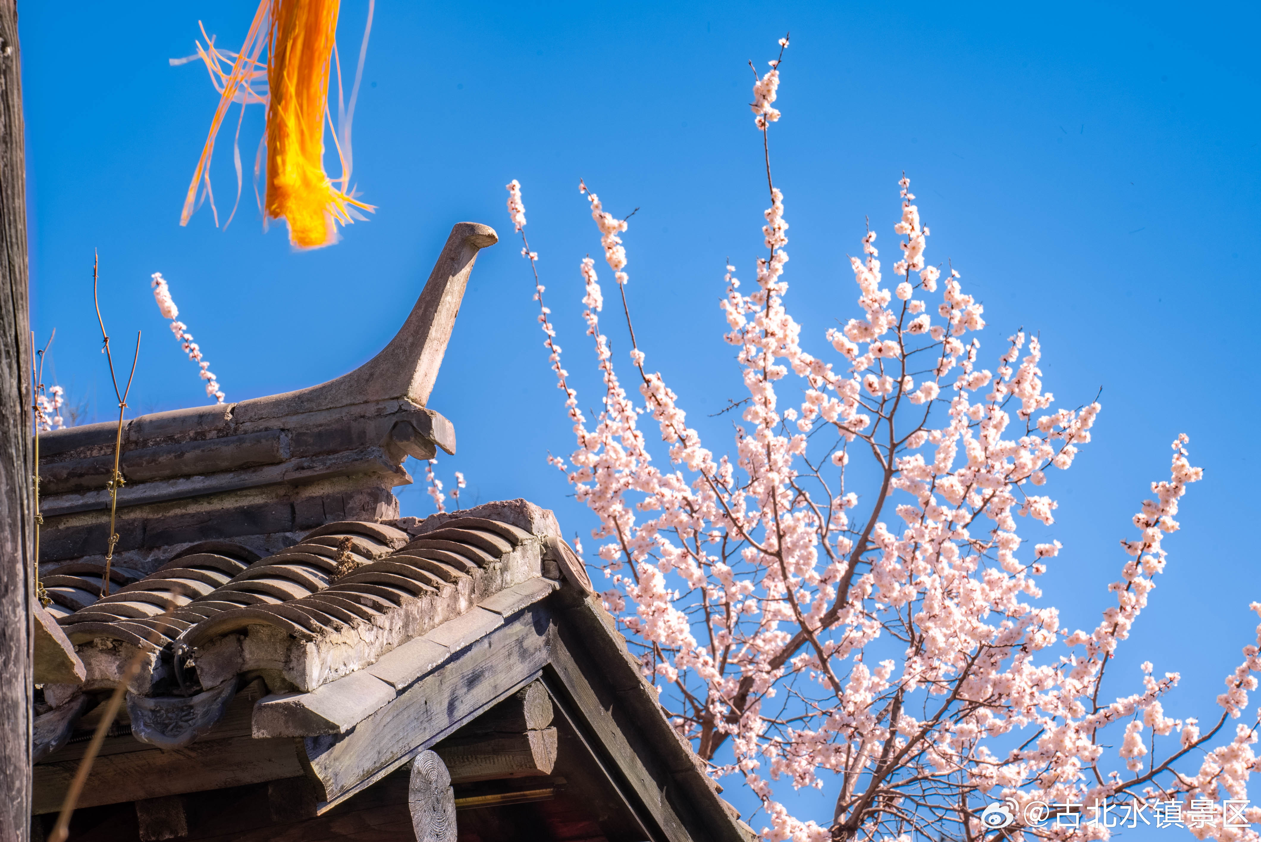 揣着开心奔赴新晨，让普通日子，也闪着细碎的光早安，宝子们~#司马台长城# #古北