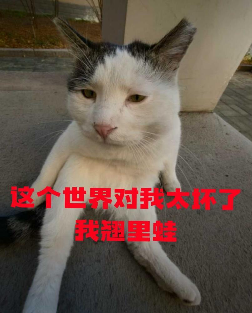 离婚！！离婚！！！这日子过不下去了！ 