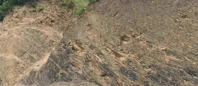 【湖北十堰发现3亿多年前古植物化石群】湖北省十堰市郧西县坎子山地区日前发现了新的