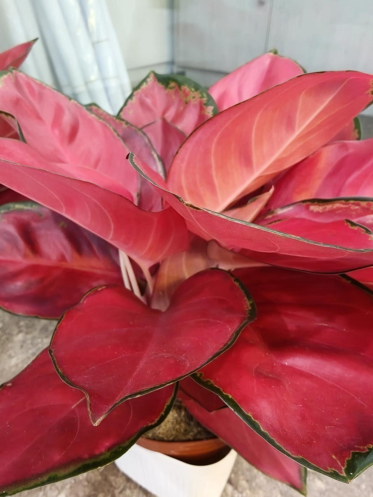 新🆕活动出来了，友友们一起来参加，奖励多多哦！