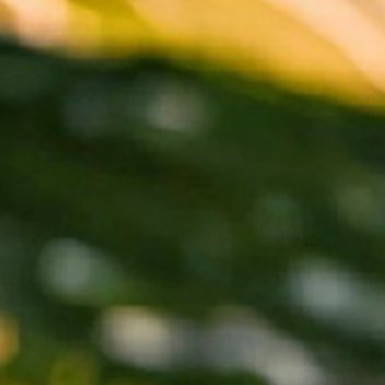 生活如人饮水，冷暖自知，本无标准答案。困住我们的，往往不是大山，而是鞋里那粒磨人