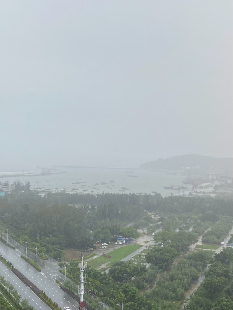 下雨天适合睡觉💤今年雨水好多 