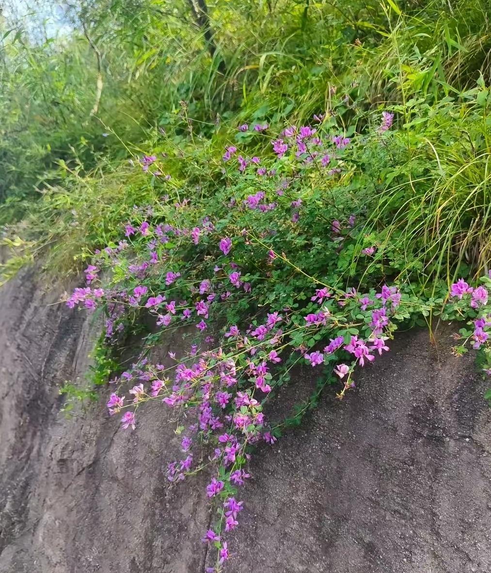 囤盐真的有用吗？
你抢的不是盐，是慌。
03年非典，19年新冠，23年核污水，