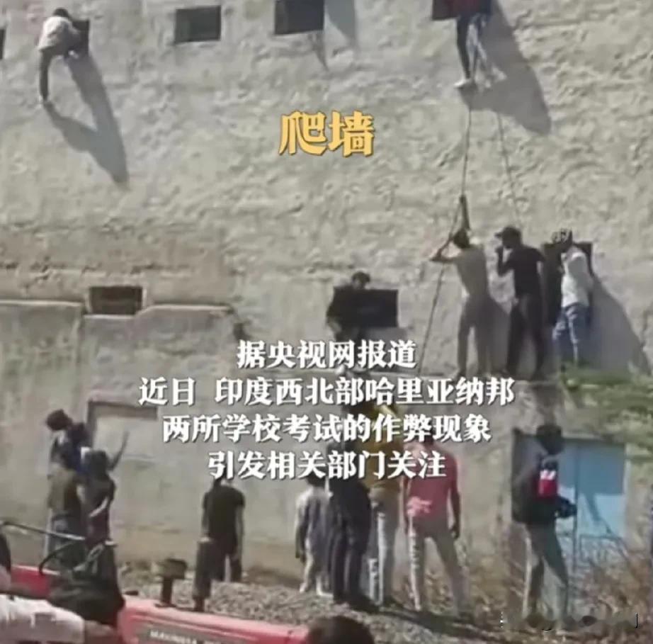 看了印度的考试作弊手段，真是惊掉了下巴！爬墙、上房、探窗、竹竿传递……真是无所不