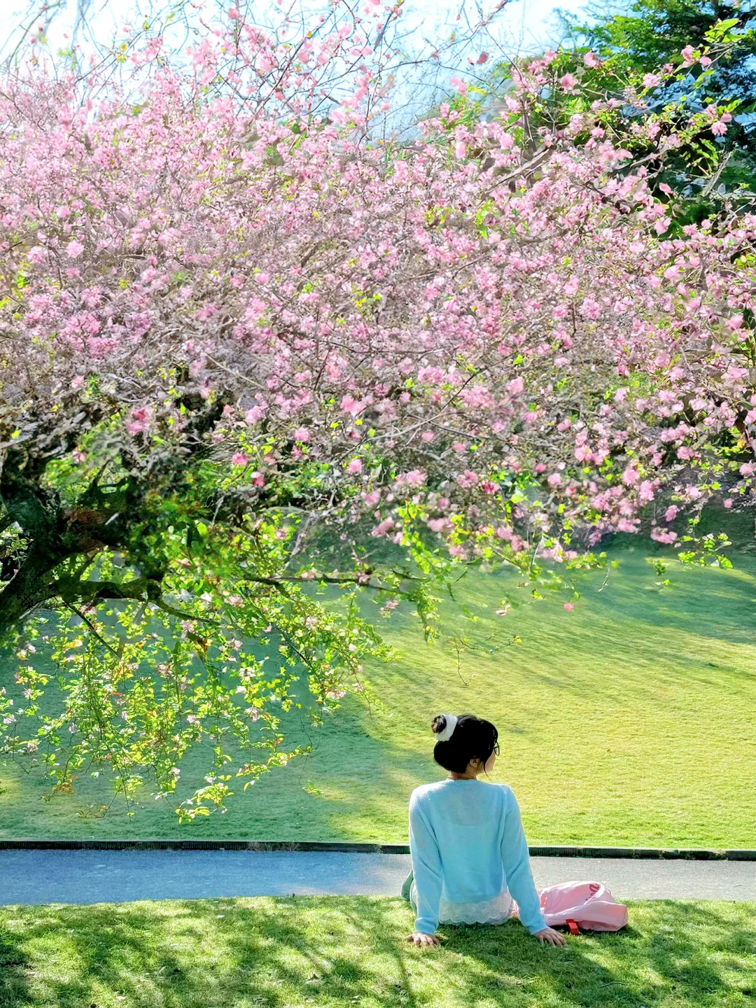 开了开了‼️被三圣乡春天的垂丝海棠美哭了~
