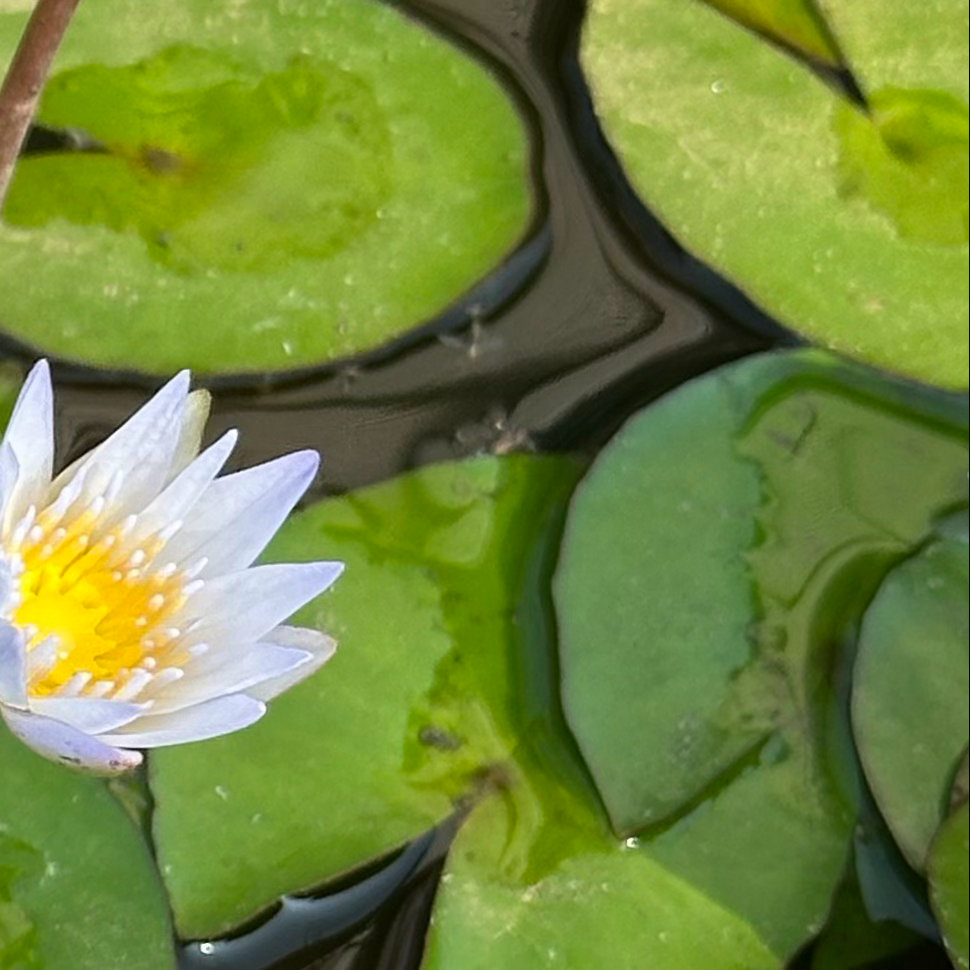 阳光信用  阳光信用 互动打卡 好，让我们轻松地迈出新步伐！人生就是和有限生命的