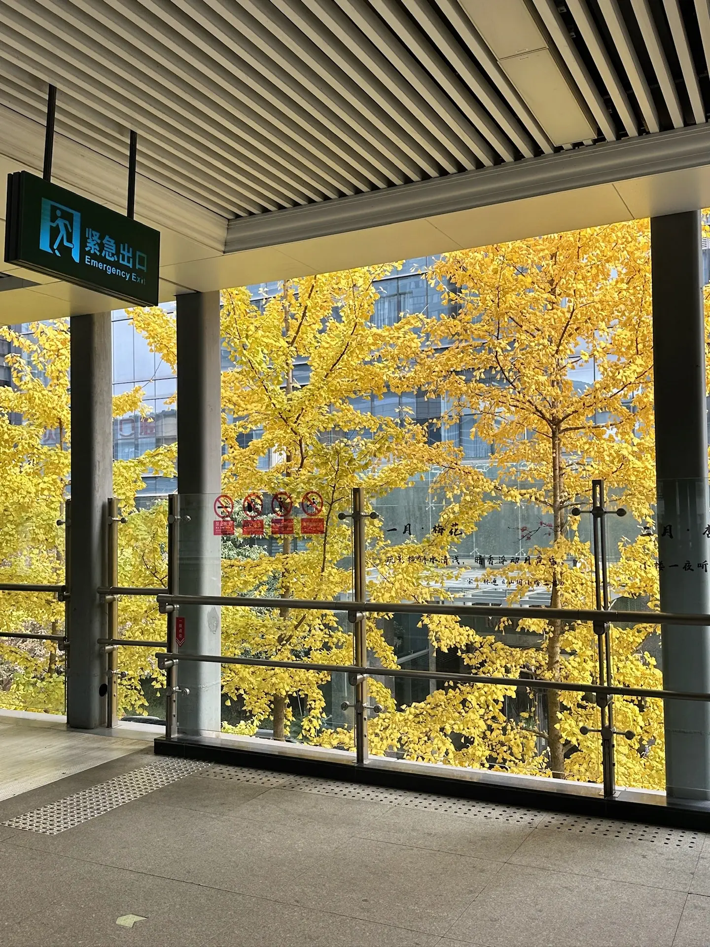 总以为时间过得很慢 可是明天就已经立秋了
