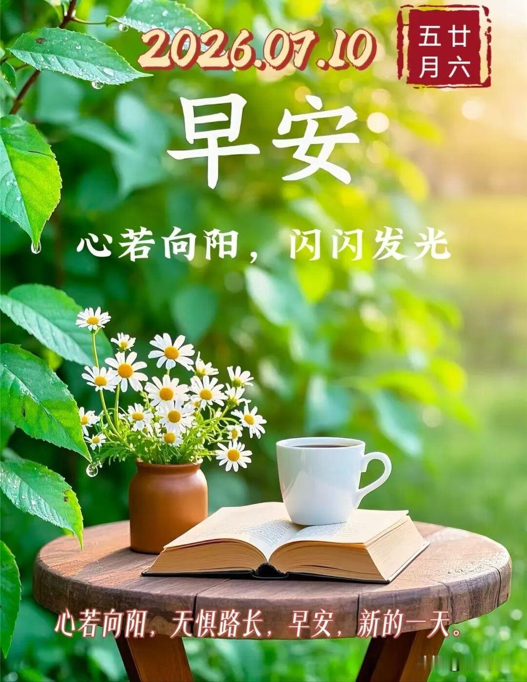 夏日生活打卡季连续好几天阴雨天，今天一大早，终于看到了淡淡的蓝天。虽然天气预报说