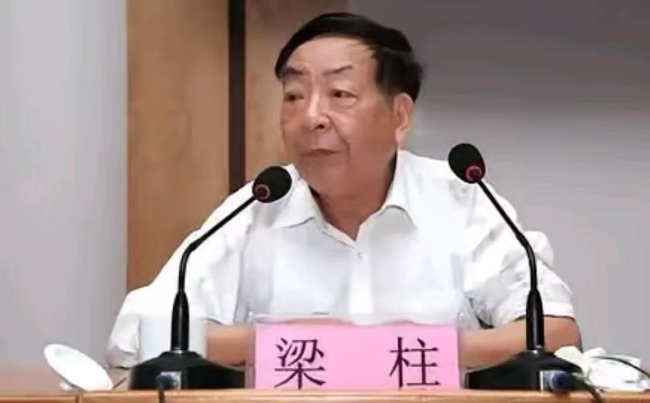 北大梁柱教授提醒众人：一个以钱为唯一导向的社会，必然走向堕落。

如今大家的生活