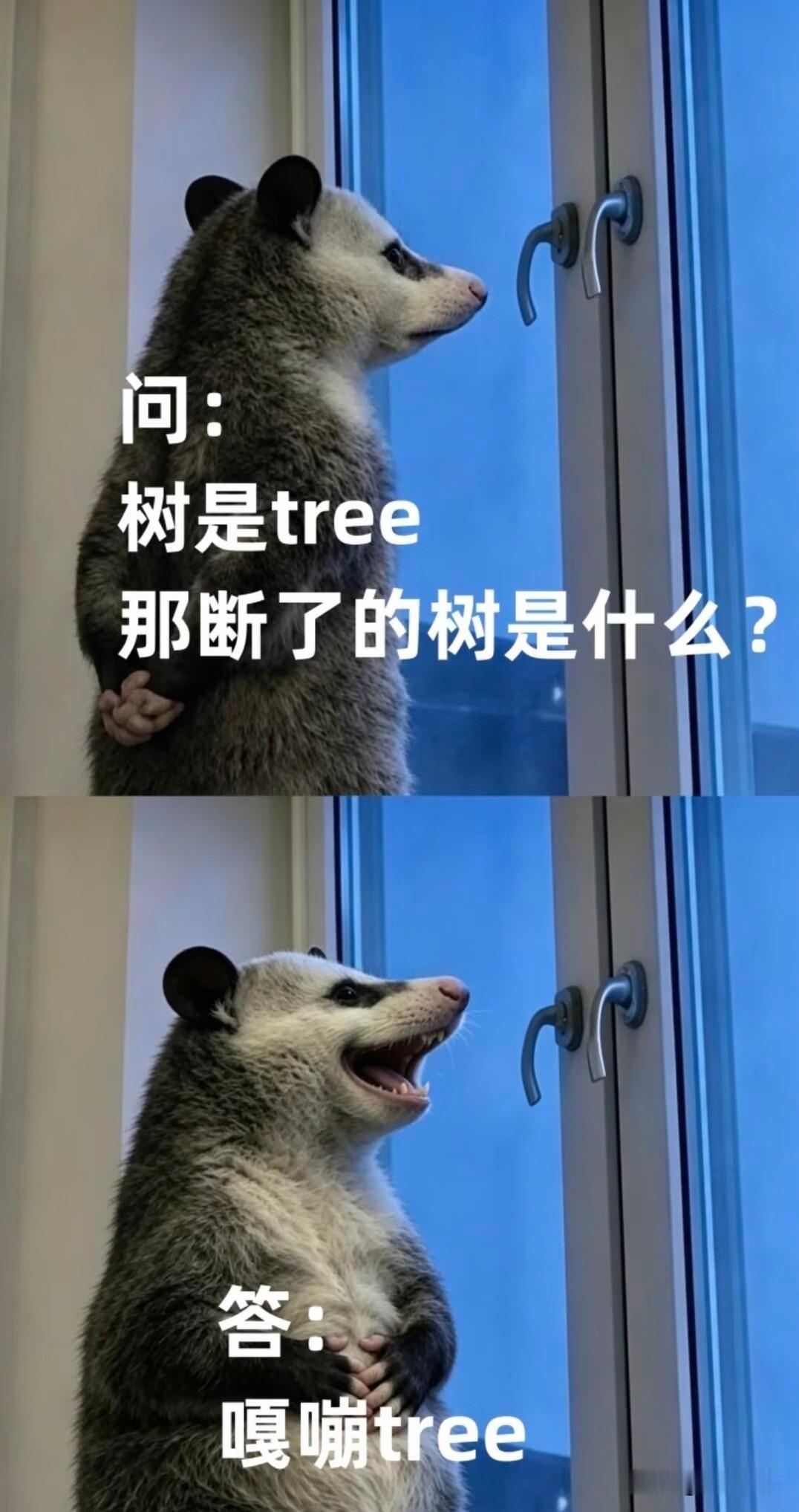 堪比脑筋急转弯