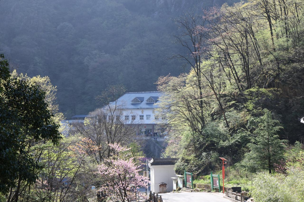 分享一张自然风景的照片