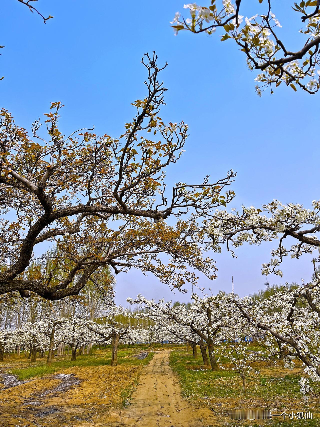 #有几个人能经得起钱和女人的诱惑?# 
我觉得没有几个男人能扛住钱与女人的诱惑，