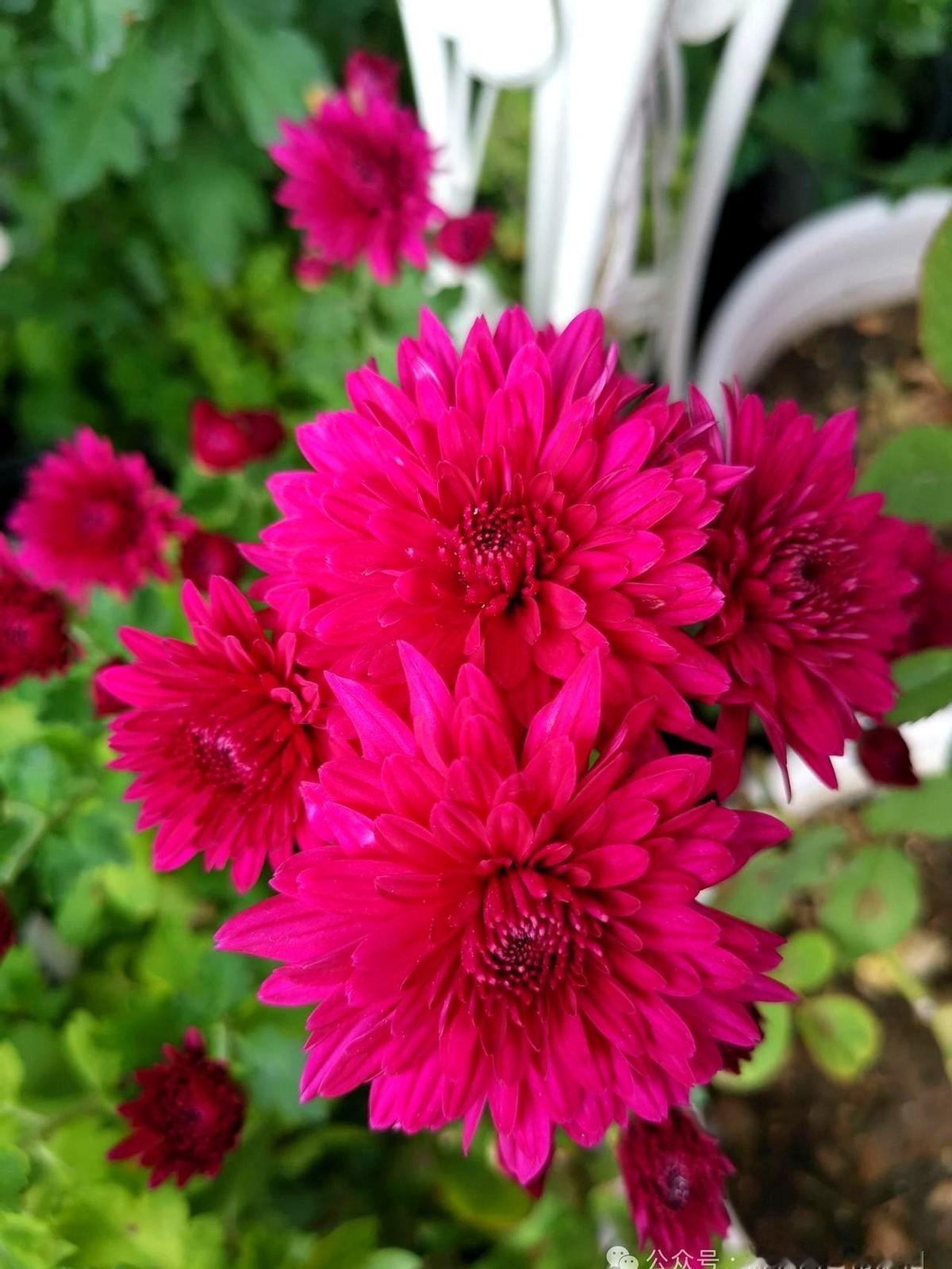 中国奥运史上最年轻的三金得主，竟然是她！

巴黎那个晚上，10米跳台，全红婵一跳