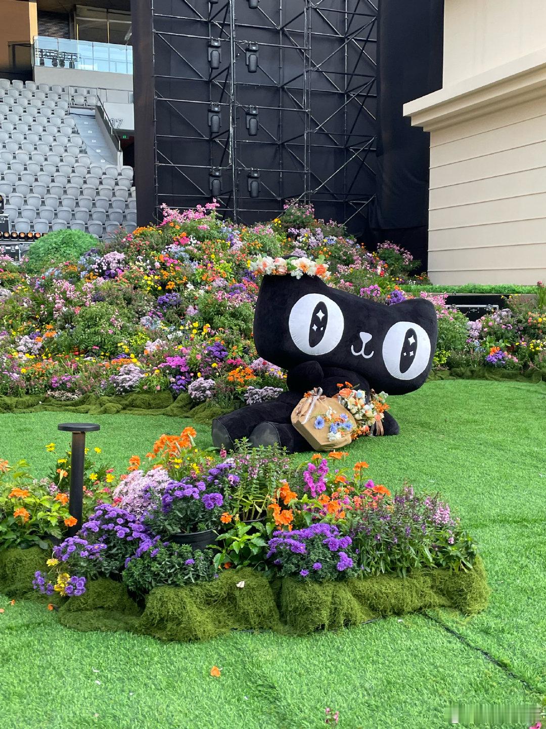 猫天天这套红毯穿搭太可了！怼脸拍里笑容元气满满，走在红毯上像小太阳，萌化人心～ 