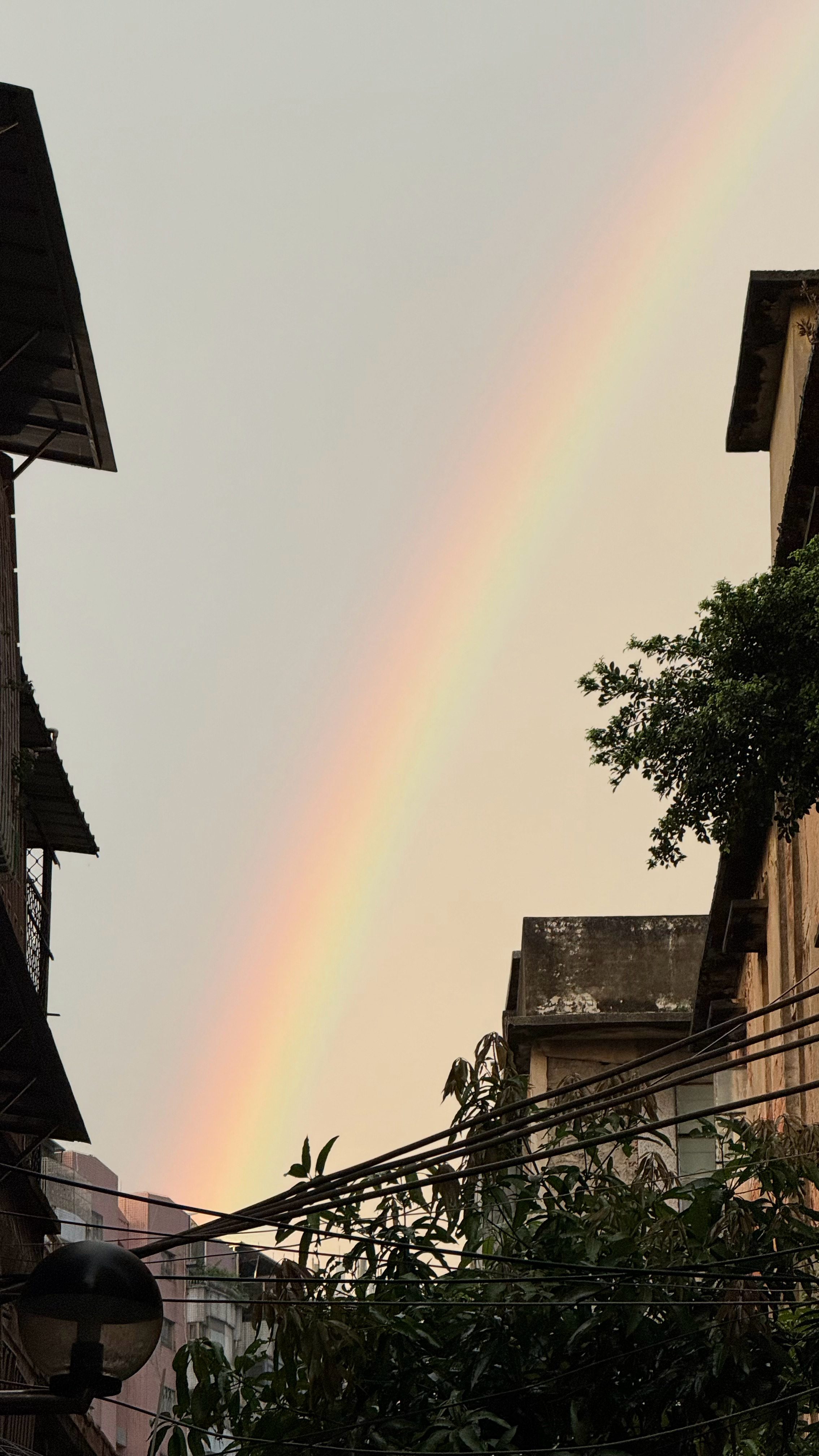 🌈 